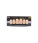 NEO LIGN A TOOTH ANT C43 UPPER A2 6 pc