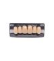 NEO LIGN A TOOTH ANT C43 UPPER A3 6 pc ASST 13, 12, 11, 21, 22, 23