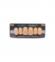 NEO LIGN A TOOTH ANT C43 UPPER A3.5 6 pc ASST 13, 12, 11, 21, 22, 23