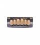 NEO LIGN A TOOTH ANT C43 UPPER A4 6 pc ASST 13, 12, 11, 21, 22, 23