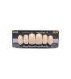 NEO LIGN A TOOTH ANT C43 UPPER B1 6 pc ASST 13, 12, 11, 21, 22, 23