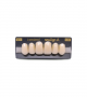 NEO LIGN A TOOTH ANT C43 UPPER B1 6 pc