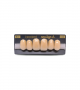NEO LIGN A TOOTH ANT C43 UPPER B3 6 pc ASST 13, 12, 11, 21, 22, 23