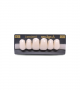 NEO LIGN A TOOTH ANT C43 UPPER BL3 6 pc ASST 13, 12, 11, 21, 22, 23