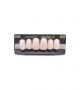 NEO LIGN A TOOTH ANT C43 UPPER BL3 6 pc