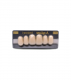 NEO LIGN A TOOTH ANT C43 UPPER C1 6 pc ASST 13, 12, 11, 21, 22, 23