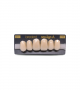 NEO LIGN A TOOTH ANT C43 UPPER C1 6 pc