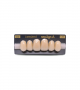 NEO LIGN A TOOTH ANT C43 UPPER D2 6 pc ASST 13, 12, 11, 21, 22, 23