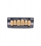 NEO LIGN A TOOTH ANT C43 UPPER D4 6 pc ASST 13, 12, 11, 21, 22, 23