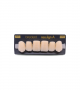 NEO LIGN A TOOTH ANT D48 UPPER A1 6 pc ASST 13, 12, 11, 21, 22, 23