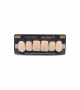 NEO LIGN A TOOTH ANT D48 UPPER A1 6 pc