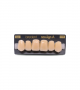 NEO LIGN A TOOTH ANT D48 UPPER A3 6 pc ASST 13, 12, 11, 21, 22, 23