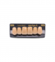 NEO LIGN A TOOTH ANT D48 UPPER A3.5 6 pc ASST 13, 12, 11, 21, 22, 23
