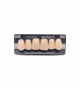 NEO LIGN A TOOTH ANT D48 UPPER B2 6 pc ASST 13, 12, 11, 21, 22, 23