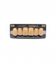 NEO LIGN A TOOTH ANT D48 UPPER B4 6 pc ASST 13, 12, 11, 21, 22, 23