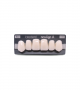 NEO LIGN A TOOTH ANT D48 UPPER BL3 6 pc ASST 13, 12, 11, 21, 22, 23
