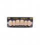 NEO LIGN A TOOTH ANT D48 UPPER C1 6 pc ASST 13, 12, 11, 21, 22, 23