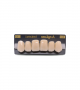 NEO LIGN A TOOTH ANT D48 UPPER C1 6 pc