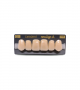 NEO LIGN A TOOTH ANT D48 UPPER C2 6 pc ASST 13, 12, 11, 21, 22, 23