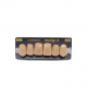 NEO LIGN A TOOTH ANT D48 UPPER C4 6 pc ASST 13, 12, 11, 21, 22, 23