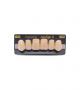 NEO LIGN A TOOTH ANT D48 UPPER D2 6 pc ASST 13, 12, 11, 21, 22, 23