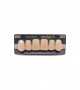 NEO LIGN A TOOTH ANT D48 UPPER D3 6 pc ASST 13, 12, 11, 21, 22, 23