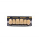 NEO LIGN A TOOTH ANT D48 UPPER D4 6 pc ASST 13, 12, 11, 21, 22, 23