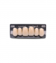 NEO LIGN A TOOTH ANT D49 UPPER A1 6 pc