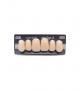 NEO LIGN A TOOTH ANT D49 UPPER A1 6 pc ASST 13, 12, 11, 21, 22, 23