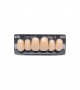 NEO LIGN A TOOTH ANT D49 UPPER A2 6 pc