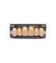 NEO LIGN A TOOTH ANT D49 UPPER A3 6 pc ASST 13, 12, 11, 21, 22, 23