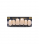 NEO LIGN A TOOTH ANT D49 UPPER B1 6 pc ASST 13, 12, 11, 21, 22, 23