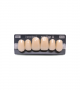 NEO LIGN A TOOTH ANT D49 UPPER B2 6 pc ASST 13, 12, 11, 21, 22, 23
