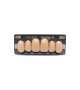 NEO LIGN A TOOTH ANT D49 UPPER B3 6 pc ASST 13, 12, 11, 21, 22, 23