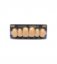 NEO LIGN A TOOTH ANT D49 UPPER B4 6 pc ASST 13, 12, 11, 21, 22, 23