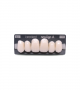 NEO LIGN A TOOTH ANT D49 UPPER BL3 6 pc