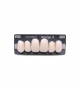 NEO LIGN A TOOTH ANT D49 UPPER BL3 6 pc ASST 13, 12, 11, 21, 22, 23