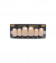 NEO LIGN A TOOTH ANT D49 UPPER C1 6 pc ASST 13, 12, 11, 21, 22, 23