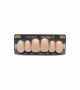 NEO LIGN A TOOTH ANT D49 UPPER C2 6 pc ASST 13, 12, 11, 21, 22, 23