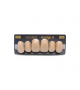 NEO LIGN A TOOTH ANT D49 UPPER C3 6 pc ASST 13, 12, 11, 21, 22, 23