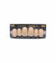 NEO LIGN A TOOTH ANT D49 UPPER D2 6 pc ASST 13, 12, 11, 21, 22, 23