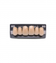 NEO LIGN A TOOTH ANT D49 UPPER D3 6 pc ASST 13, 12, 11, 21, 22, 23
