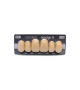 NEO LIGN A TOOTH ANT D49 UPPER D4 6 pc ASST 13, 12, 11, 21, 22, 23