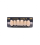 NEO LIGN A TOOTH ANT F44 UPPER A1 6 pc