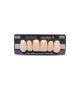 NEO LIGN A TOOTH ANT F44 UPPER A1 6 pc ASST 13, 12, 11, 21, 22, 23