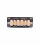 NEO LIGN A TOOTH ANT F44 UPPER A2 6 pc