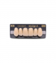 NEO LIGN A TOOTH ANT F44 UPPER A2 6 pc ASST 13, 12, 11, 21, 22, 23