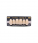 NEO LIGN A TOOTH ANT F44 UPPER B1 6 pc