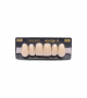 NEO LIGN A TOOTH ANT F44 UPPER B1 6 pc ASST 13, 12, 11, 21, 22, 23
