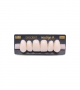 NEO LIGN A TOOTH ANT F44 UPPER BL3 6 pc